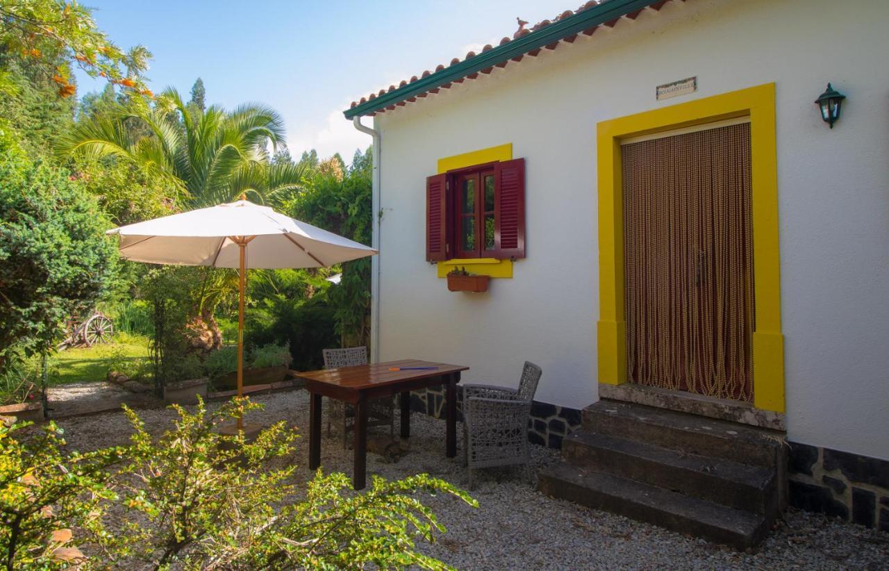 Quinta Flores Ferreira do Zezere Exterior photo
